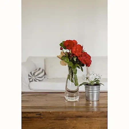 Chateau De Mazelieres