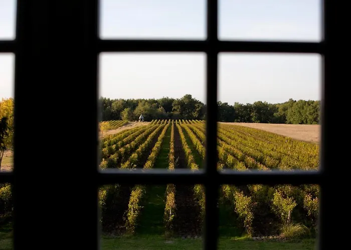 Couette-café Chateau De Mazelieres Espiens