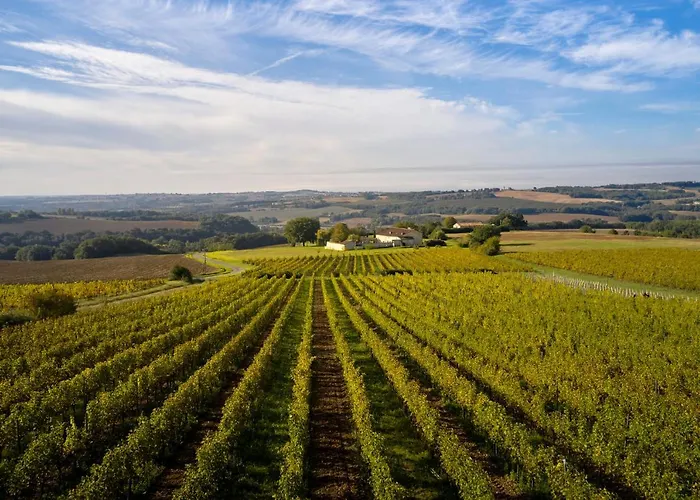 Chateau De Mazelieres *